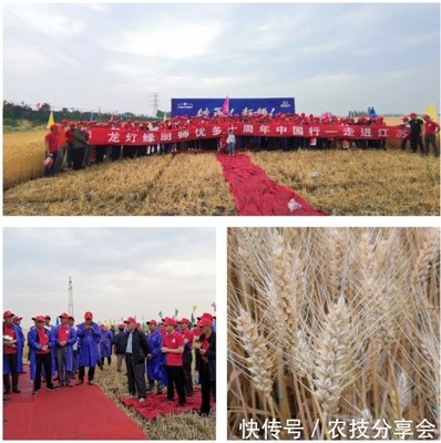 龙灯中国 为不同种类农作物研发、升级新产品